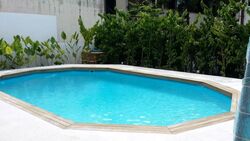 Morley Road (D10), Detached #541855411